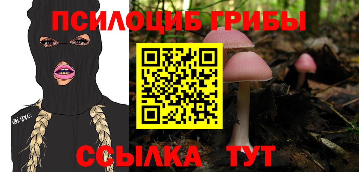 Галлюциногенные грибы Psilocybine cubensis  Вход с VPN  наркота  Каменка  Псилоцибиновые грибы MAGIC MUSHROOMS 
